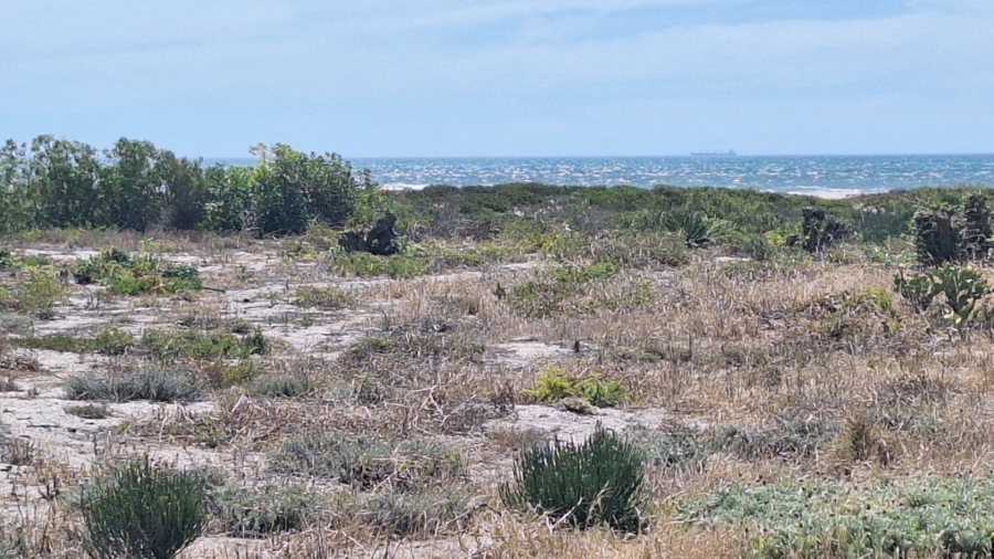 0 Bedroom Property for Sale in Dwarskersbos Western Cape